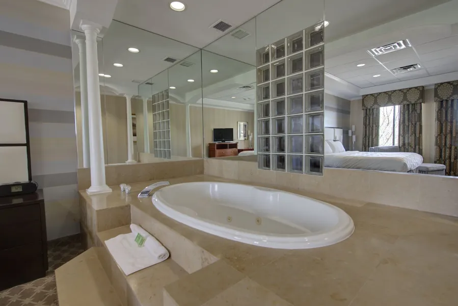 Holiday Inn Plainview-Long Island by IHG hotel detail image 2