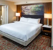 DoubleTree by Hilton Appleton hotel detail image 5