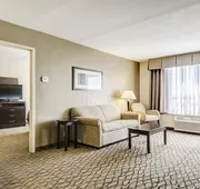 Holiday Inn St. Louis Arpt West-Earth City by IHG hotel detail image 3