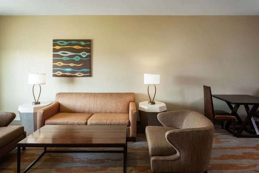 Holiday Inn San Antonio Seaworld by IHG hotel detail image 6