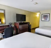 Holiday Inn St Petersburg N - Clearwater by IHG hotel detail image 7
