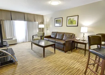 Holiday Inn St Petersburg N - Clearwater by IHG hotel thumbnail 8