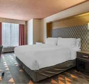 Holiday Inn Atlanta-Gas South Arena Area by IHG hotel detail image 7
