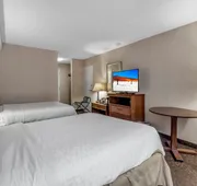 Buffalo Airport Hotel hotel detail image 3