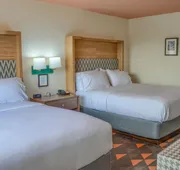 Holiday Inn Mobile West I-10 by IHG hotel detail image 7