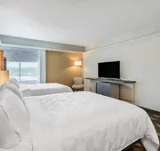 Holiday Inn & Suites Pittsfield-Berkshires by IHG hotel detail image 7