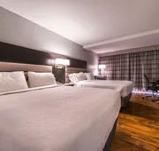 Holiday Inn Hotel & Suites Beaumont Plaza (I-10 & Walden) by IHG hotel detail image 5