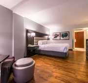 Holiday Inn Hotel & Suites Beaumont Plaza (I-10 & Walden) by IHG hotel detail image 7