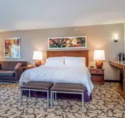 Holiday Inn Stevens Point - Convention Ctr by IHG hotel detail image 3
