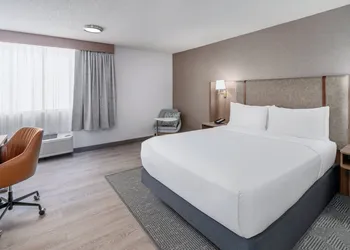 Holiday Inn Dublin-Pleasanton by IHG hotel thumbnail 6