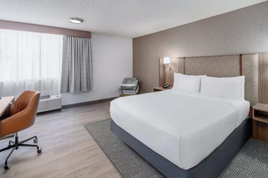 Holiday Inn Dublin-Pleasanton by IHG hotel detail image 6