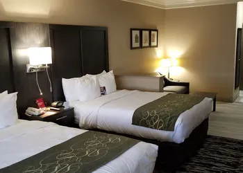 Comfort Suites Kingwood Houston North hotel thumbnail 6