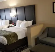 Comfort Suites Kingwood Houston North hotel detail image 7