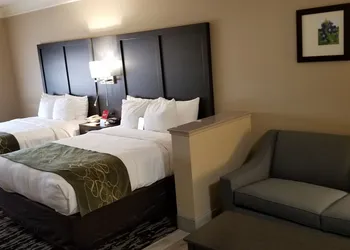Comfort Suites Kingwood Houston North hotel thumbnail 7