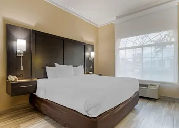 Comfort Suites Kingwood Houston North hotel thumbnail 8
