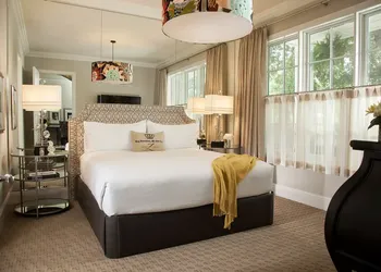 Hotel ZaZa Dallas hotel thumbnail 6