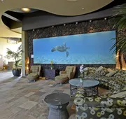 Mana Kai Maui- Official Onsite Rental hotel detail image 4