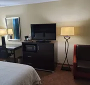 Hampton Inn Austin/Oak Hill hotel detail image 5