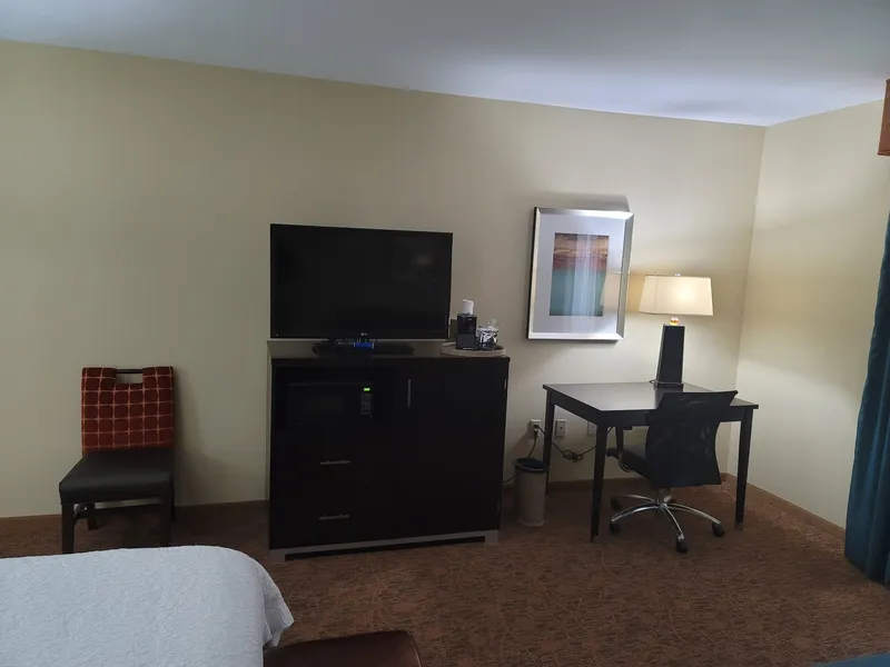 Hampton Inn Austin/Oak Hill hotel detail image 6