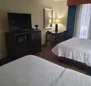 Hampton Inn Austin/Oak Hill hotel detail image 7