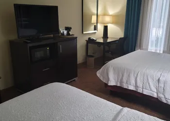 Hampton Inn Austin/Oak Hill hotel thumbnail 7