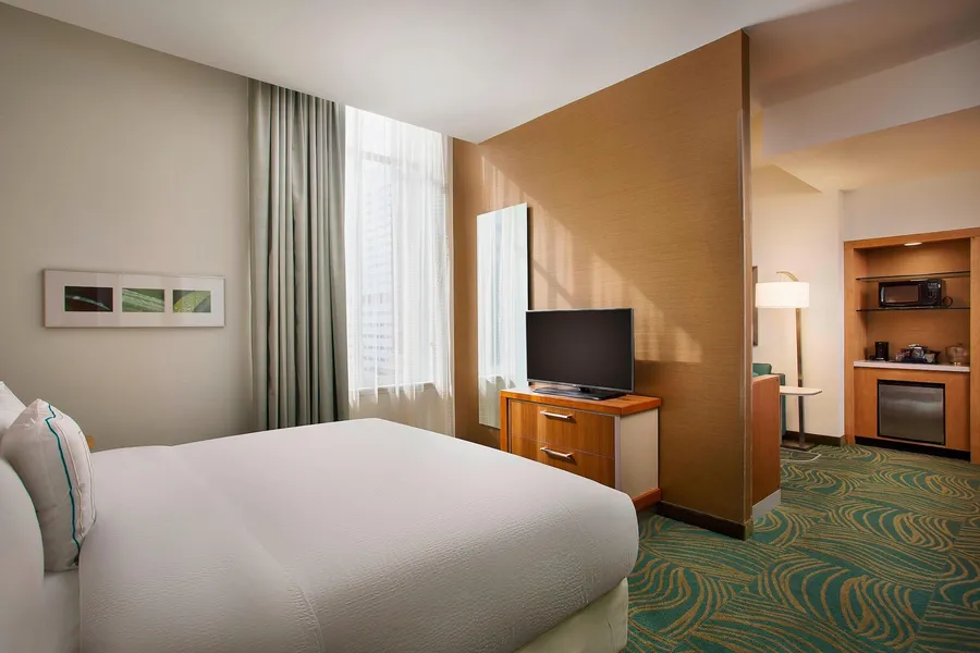 Springhill Suites by Marriott Houston Dwntn/Convention Cntr hotel detail image 6