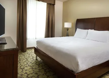 Hilton Garden Inn Bettendorf/ Quad Cities hotel thumbnail 6