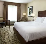 Hilton Garden Inn Bettendorf/ Quad Cities hotel detail image 7
