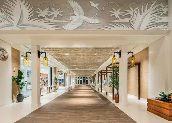 Margaritaville Hollywood Beach Resort hotel thumbnail 6