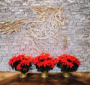 Flying Horse Resort & Club hotel detail image 3