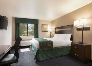 Travelodge by Wyndham Brunswick near Frederick hotel thumbnail 5