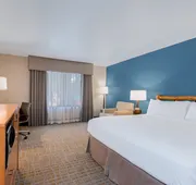 Holiday Inn Resort The Lodge At Big Bear Lake by IHG hotel detail image 7