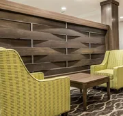 Comfort Inn & Suites Snyder hotel detail image 4
