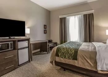 Comfort Inn & Suites Snyder hotel thumbnail 8