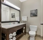 Comfort Inn & Suites hotel detail image 4