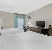 Comfort Inn & Suites hotel detail image 7