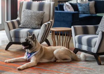 Aloft Beachwood hotel thumbnail 4