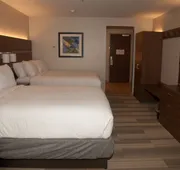 Holiday Inn Express & Suites Decatur by IHG hotel detail image 4