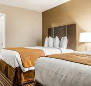 Quality Inn & Suites South Portland hotel detail image 4