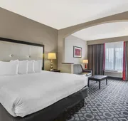 Best Western Plus Laredo Inn & Suites hotel detail image 5