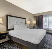 Best Western Plus Laredo Inn & Suites hotel detail image 7