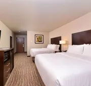 Holiday Inn Express & Suites Houston NW - Tomball Area by IHG hotel detail image 5