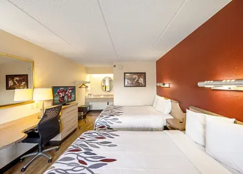 Red Roof Inn Jacksonville Airport hotel thumbnail 7