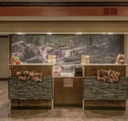 La Quinta Inn & Suites by Wyndham Pigeon Forge hotel detail image 5