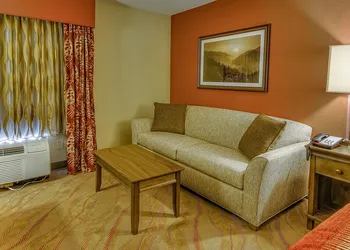 La Quinta Inn & Suites by Wyndham Pigeon Forge hotel thumbnail 8