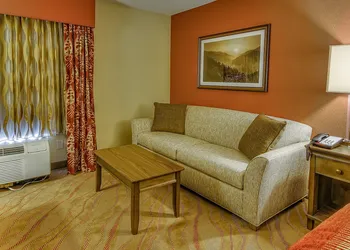 La Quinta Inn & Suites by Wyndham Pigeon Forge hotel thumbnail 8