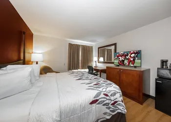Red Roof Inn & Suites Biloxi - Ocean Springs hotel thumbnail 8