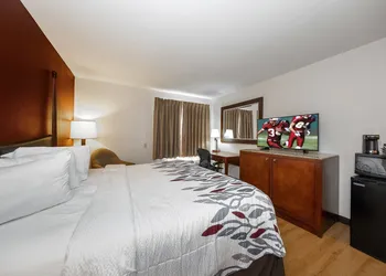 Red Roof Inn & Suites Biloxi - Ocean Springs hotel thumbnail 8