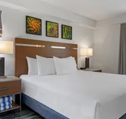 Desert Rose Resort hotel detail image 7