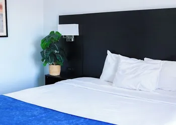 Sun and Sand Resort Oceanfront Suites hotel thumbnail 3